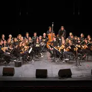 Concertos en folie