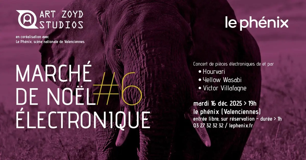 Marché de Noël électronique #6