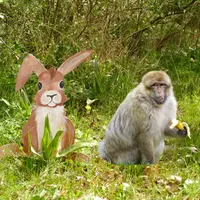 Pâque à la Montagne des Singes &copy; Montagne des Singes