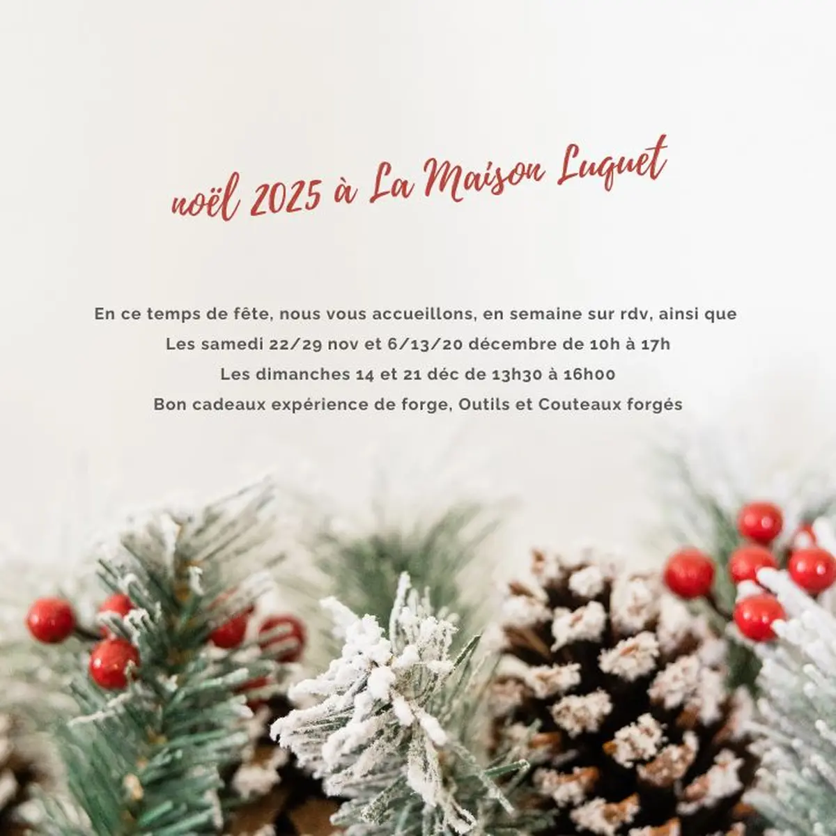 Noël à la taillanderie La Maison Luquet