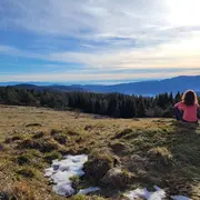 Sortie bain de forêt et sophrologie : prendre de la hauteur avec les 4 éléments
