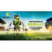 Une fête à Bernay : le Trophée Vert entre spectacle et ambiance familiale