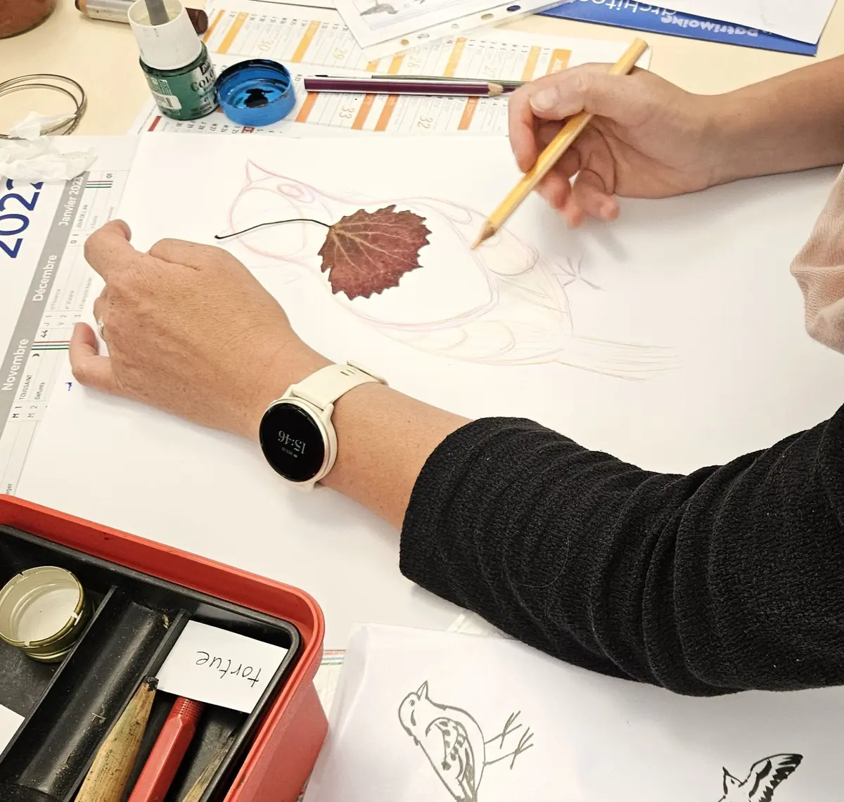 Atelier de dessin - Les oiseaux, envolée