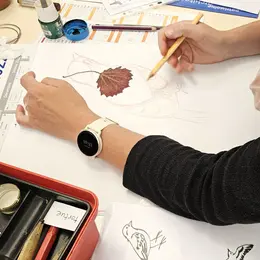 Atelier de dessin - Les oiseaux, envolée