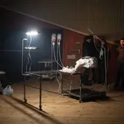 Installation «Procreation Lab » de Louise Assouly