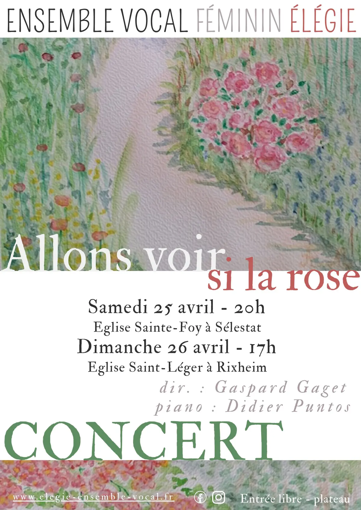 Allons voir si la rose