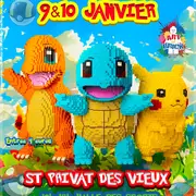 Exposition lego 2027 saint privat des vieux