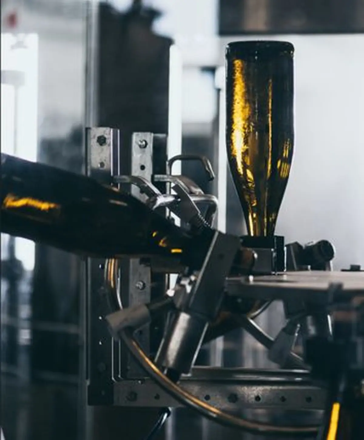 Visites des caves troglodytes et dégustations accords vins et chocolats