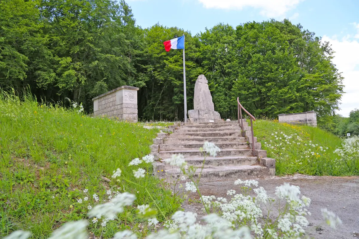 Visite guidée du Champ de Bataille de Verdun en Voiture - Bois des Caures