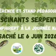 Conférence  Fascinants Serpents par AmphiRept à la Journée Nature à Saché