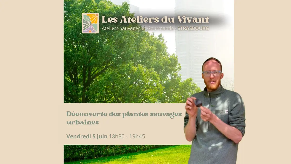  Découverte des plantes urbaines à La Grenze avec Les Ateliers du Vivant