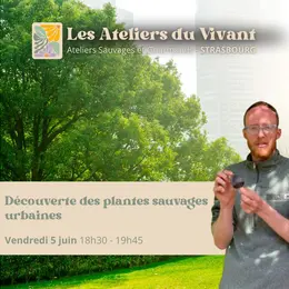  Découverte des plantes urbaines à La Grenze avec Les Ateliers du Vivant