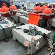 Rencontre avec l'artiste Marina Zindy