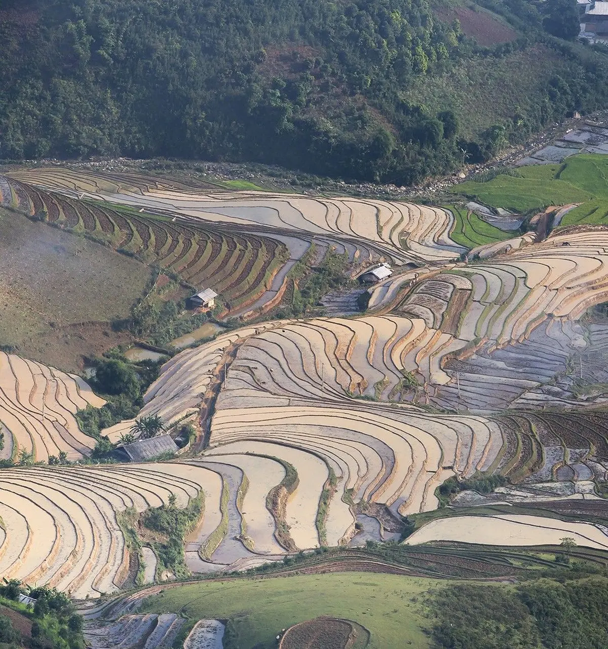 Regards sur le monde - Chine du sud, l'âme du Dragon