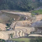 Regards sur le monde - Chine du sud, l'âme du Dragon