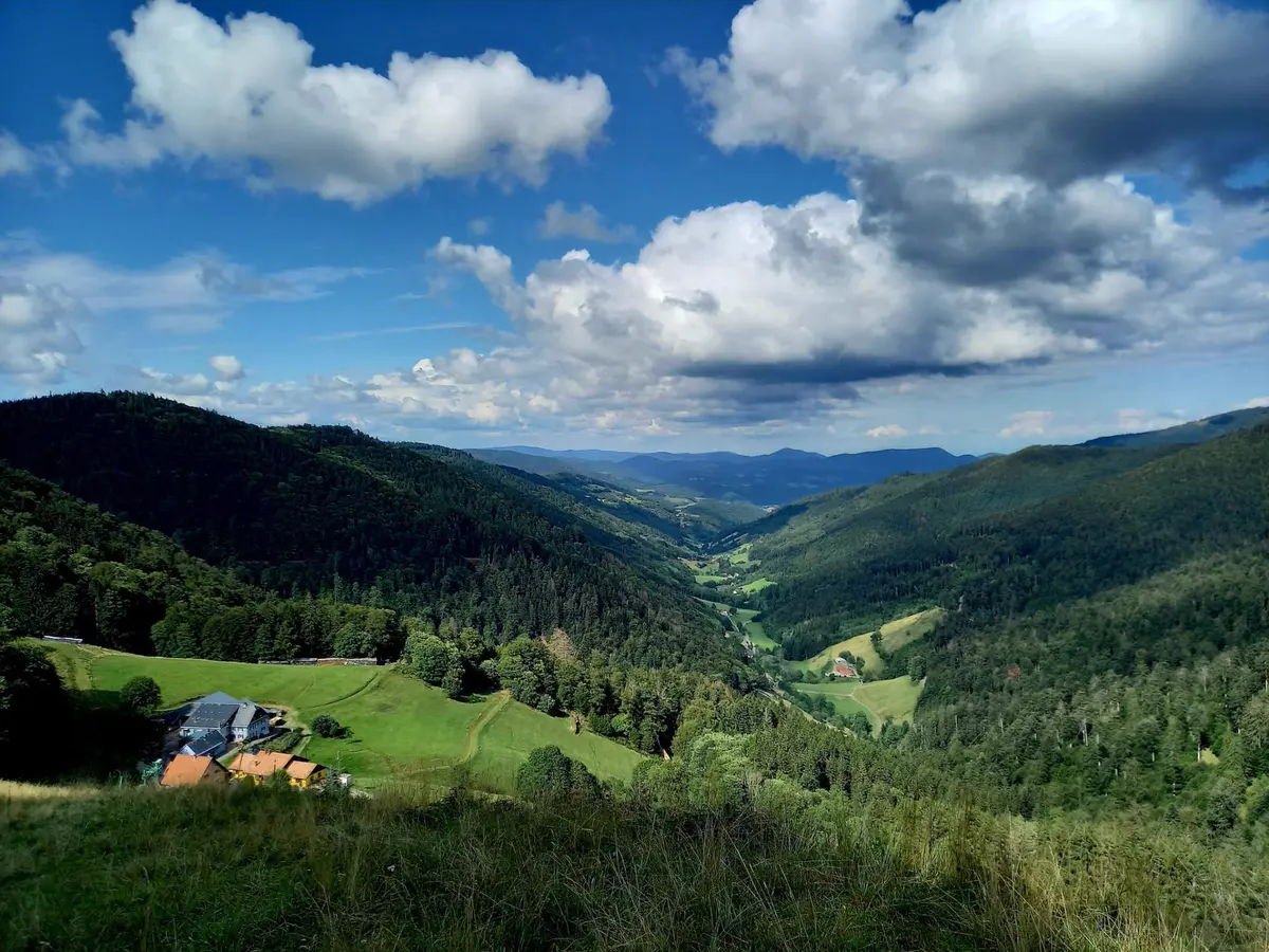 Crête et forêts du Val d’Argent