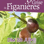 Fête de la figue grise de Figanières