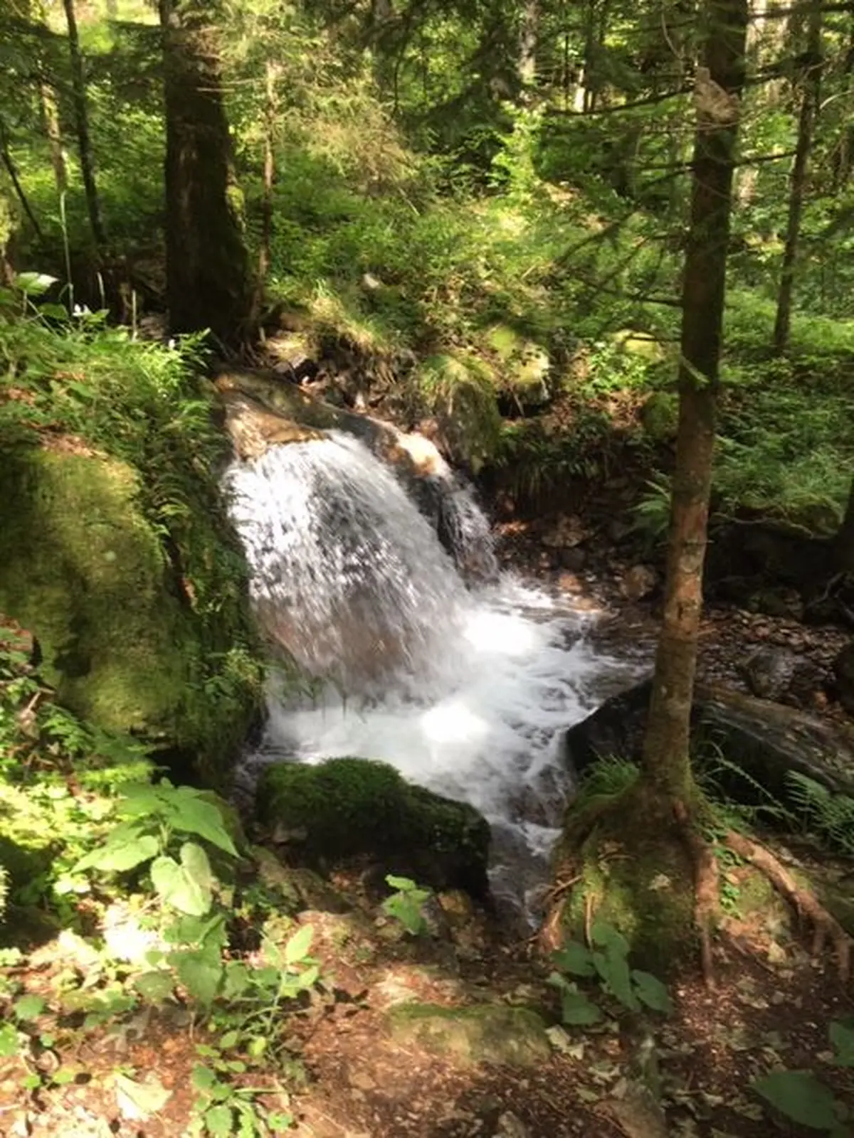 Journée nature bilingue pour les familles