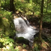 Journée nature bilingue pour les familles