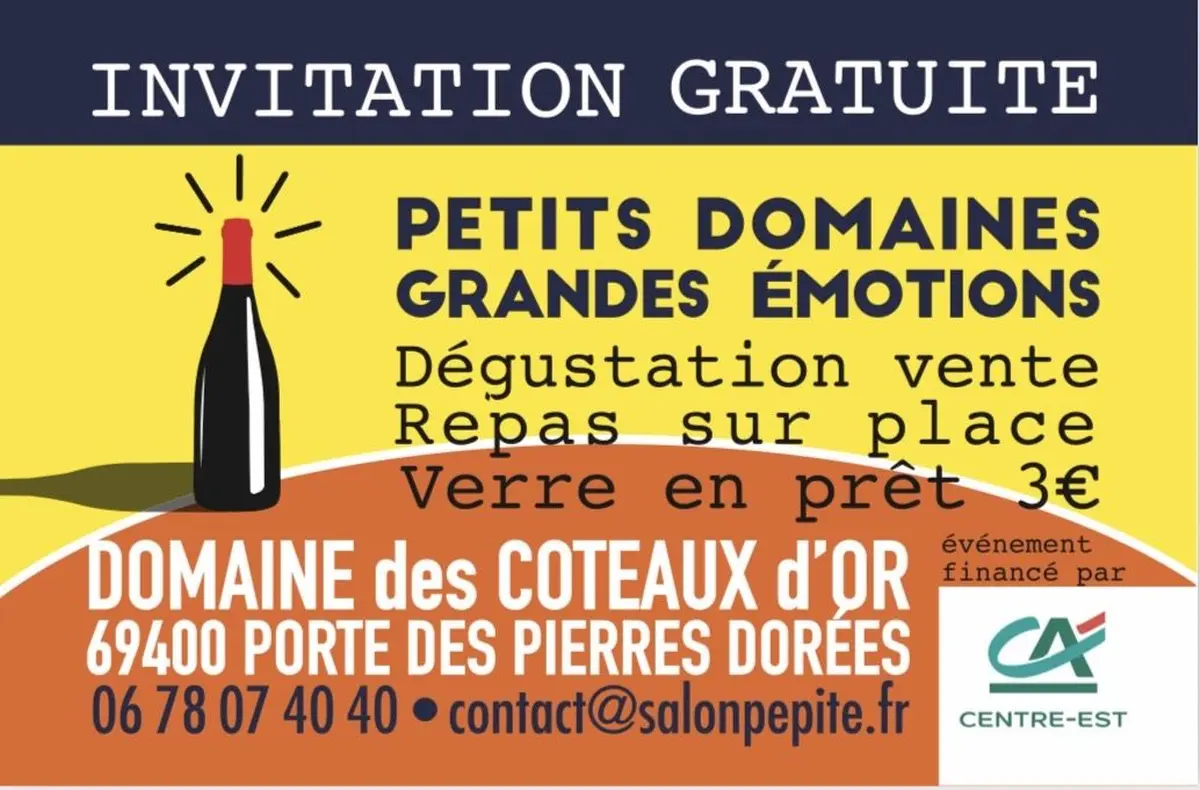 Salon pépite 