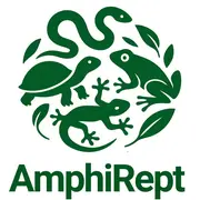 AmphiRept à la Journée Nature à Saché 