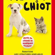 Salon du Chiot