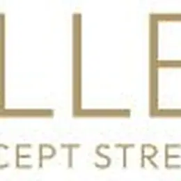 Alley Gallery