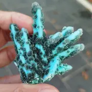 Salon minéraux, fossiles, bijoux de créateur.