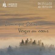 Dominique Steinel Vosges au coeur