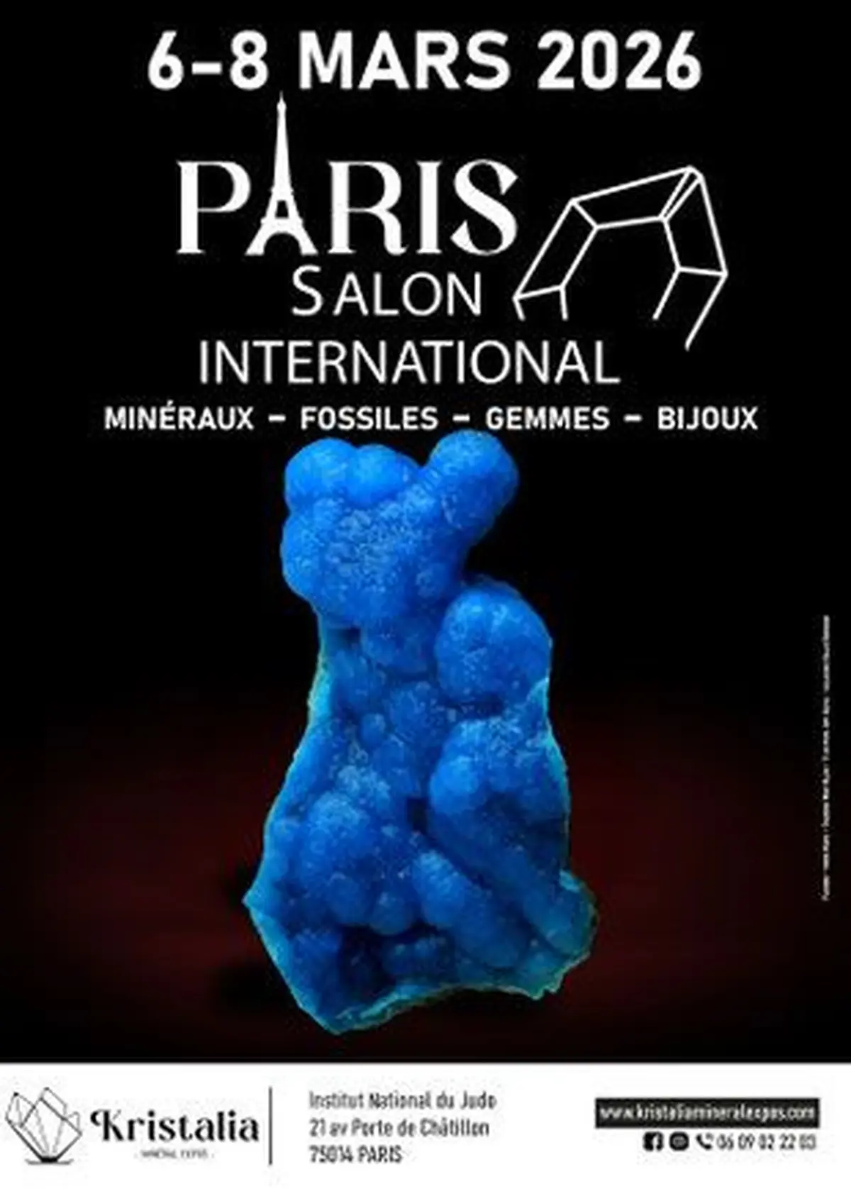 Salon International de Minéraux à Paris – 6, 7 & 8 mars 2026 (Paris 14e)