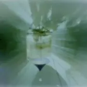 Rencontre Internationales Traverse - deux projections Les Abattoirs Musée 