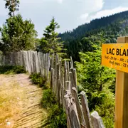 Descente de la vallée en VTT depuis la Station du Lac Blanc