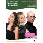 Une nuit à l'opéra