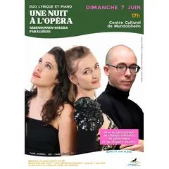 Une nuit à l'opéra