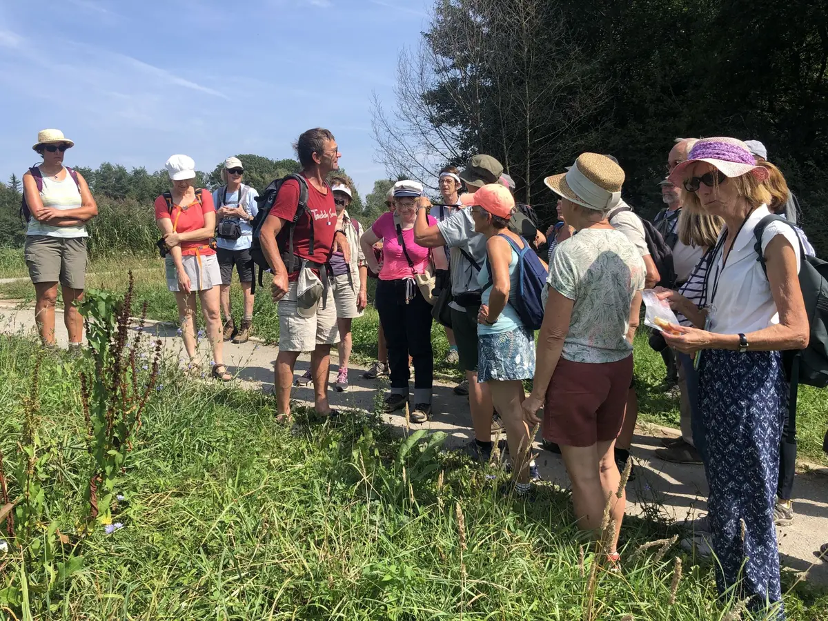 Sortie nature guidée : déambulation botanique autour des forts de Belfort