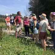 Sortie nature guidée : déambulation botanique autour des forts de Belfort