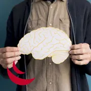 AVC : mieux le comprendre et agir