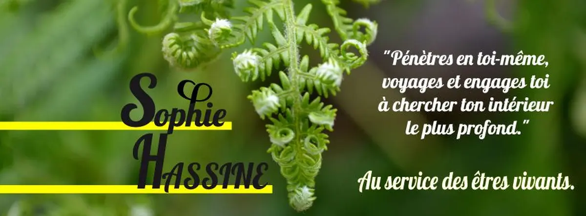 Sophie HASSINE