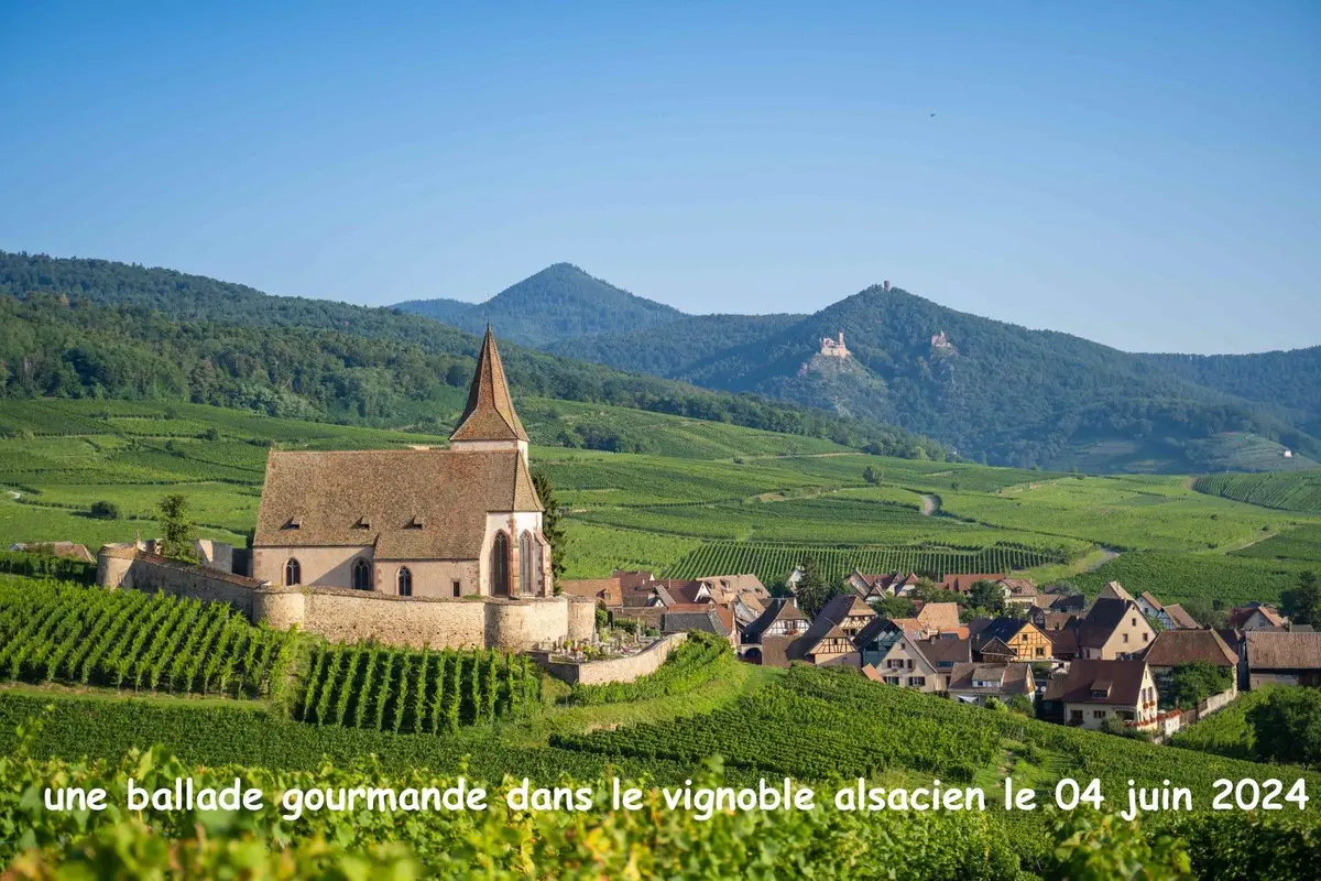 Marche gourmande Hunawihr 