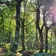 Escapade bien-être, destination nature