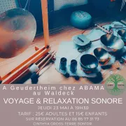 Relaxation/Voyage sonore aux bols tibétains & instruments du monde