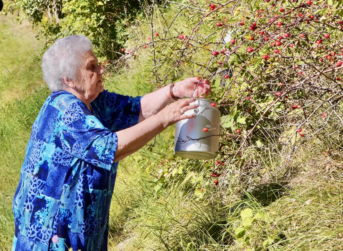 Ciné-débat en avant première Germaine la fée de l'or vert