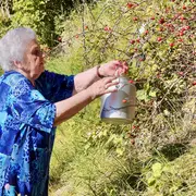 Ciné-débat en avant première Germaine la fée de l'or vert