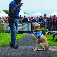 Journée des chiens guides