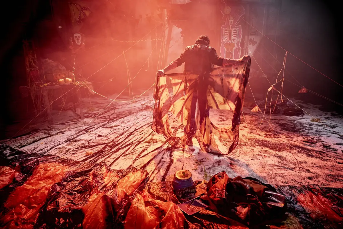 Monarque - festival Les Anthroposcènes