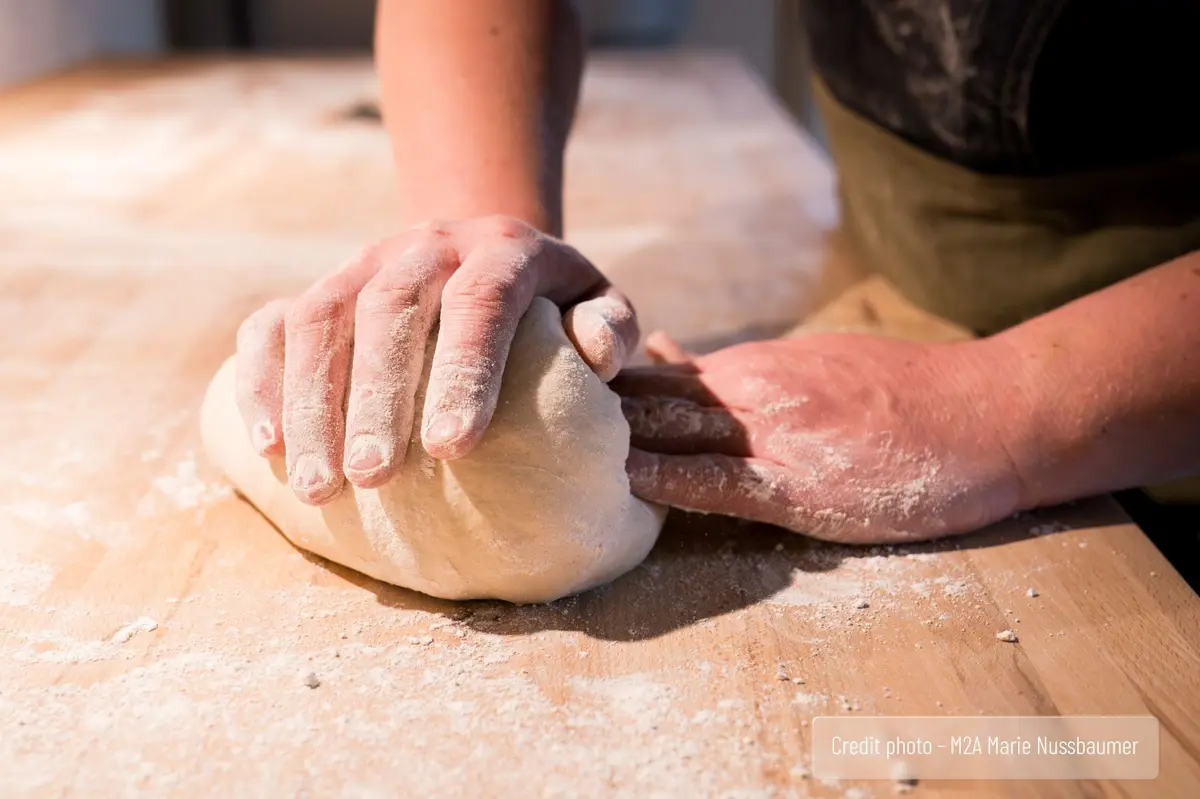 Atelier Panification au levain avec des farines de céréales anciennes