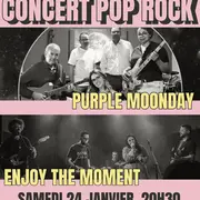 Concert Pop Rock au Meeple