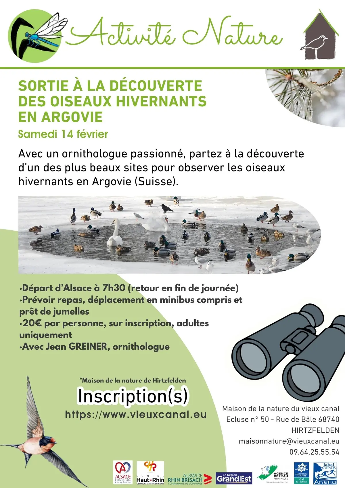 Sortie à la découverte des oiseaux hivernants en Argovie