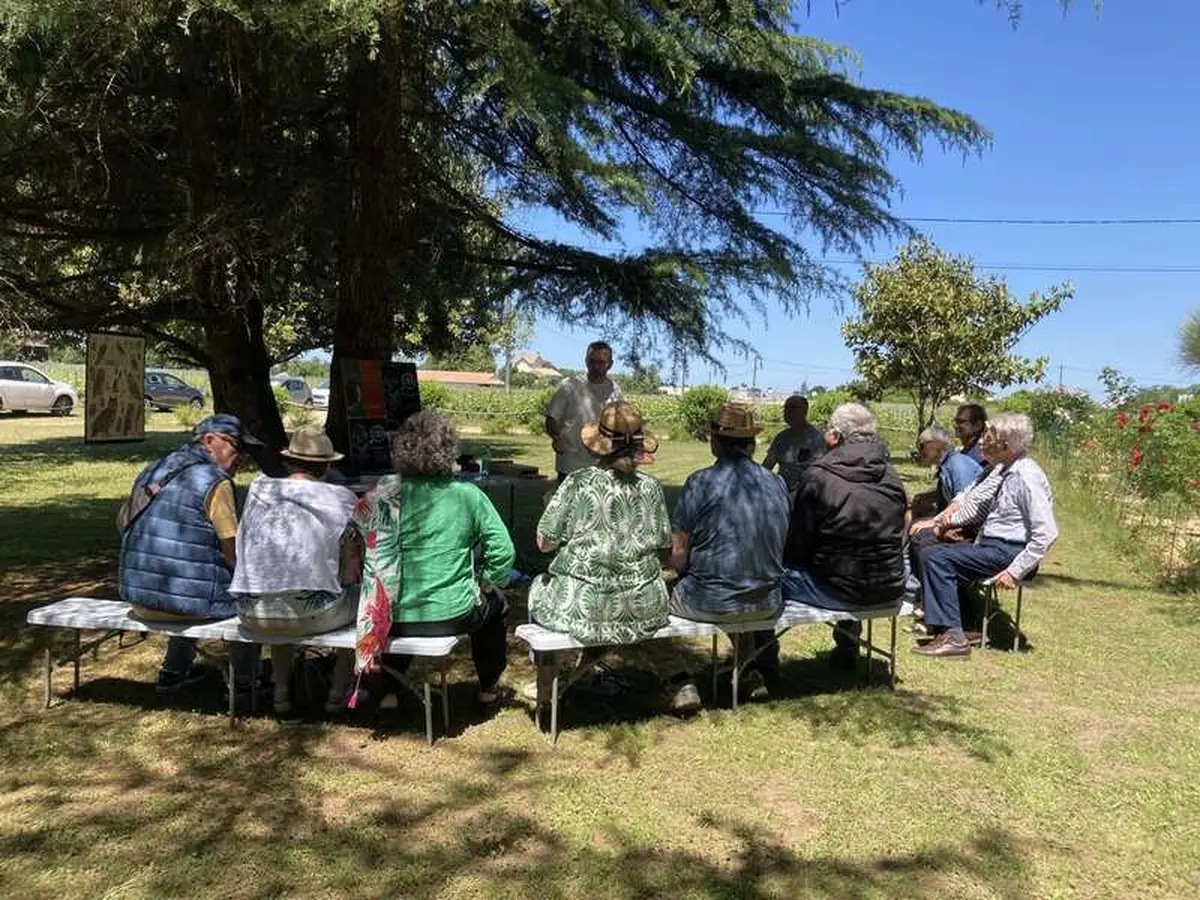 Atelier nature à Saint-Émilion : découverte des champignons au Château Gueyrosse