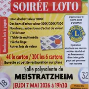 Loto Bingo - Lions